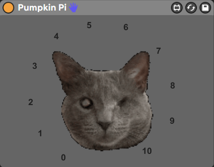 Pumpkin Pi